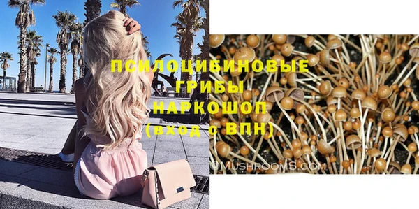 первитин Нея