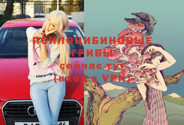 первитин Нея
