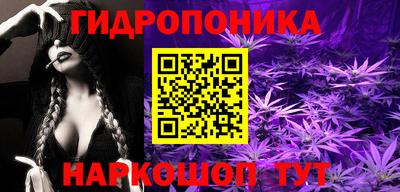 хмурый Гусь-Хрустальный