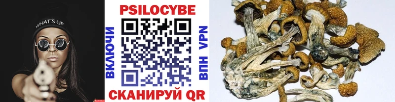 где купить наркоту сайты даркнета состав Псилоцибиновые грибы мухоморы Касимов